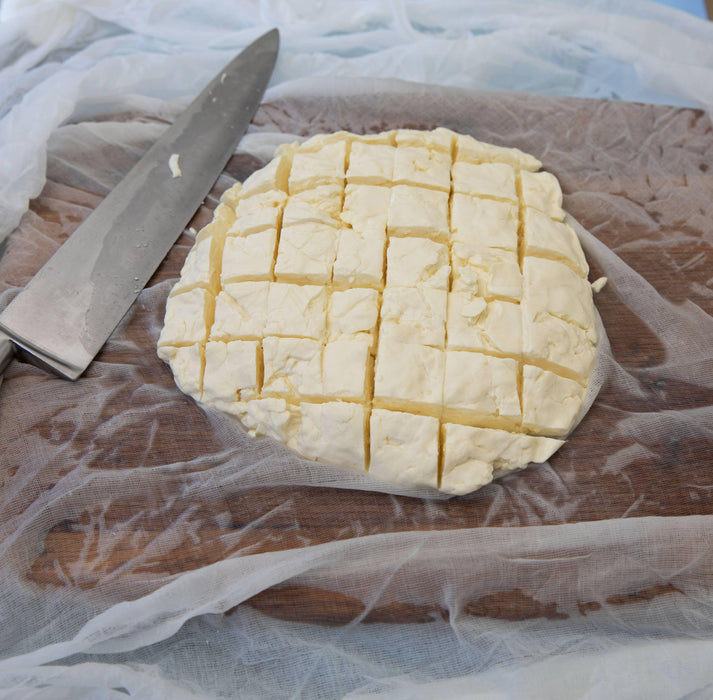 Beer Lover's Cheese Making Kit - Foodie Gift Vegetarian gluten free - LemonSalt