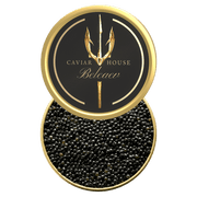 Beleaev Caviar House - Royal Baeri Caviar (30g)