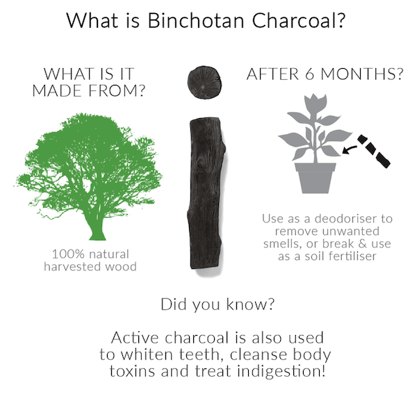 Black+Blum Active Binchotan Charcoal Filter x4