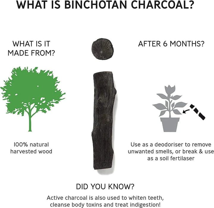 Black+Blum Glass Charcoal Filter Water Bottle 650ml - Red