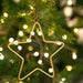 Bombay Duck Wire Stars Gold - Set of 6 - LemonSalt