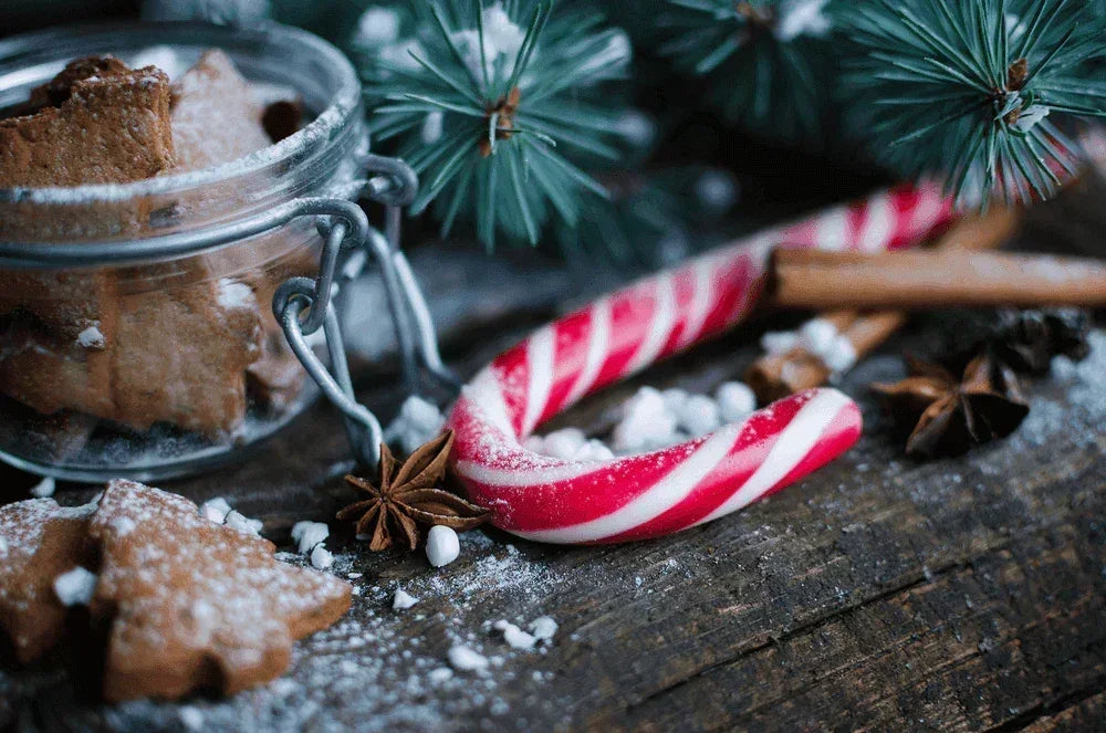 bon-bon-s-biggest-ever-red-and-white-candy-cane-34cm-lemonsalt-55606