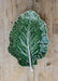 Bordallo Pinheiro Cabbage (Couve) Large Leaf (28cm) - LemonSalt