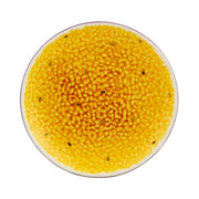 Bordallo Pinheiro Tropical Fruits Dessert Plate - Passion Fruit (21cm)