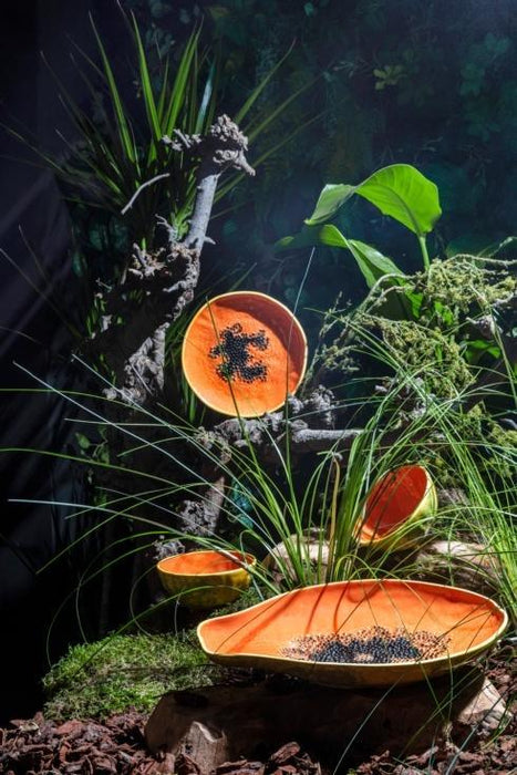 Bordallo Pinheiro Tropical Fruits Platter - Papaya (35cm) - LemonSalt