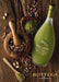 Bottega Cream Liqueur - Pistachio (500ml) - LemonSalt