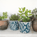 Casa Verde Plant Pot Jaipur Teal - Assorted (14x12cm) - LemonSalt