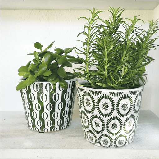 Casa Verde Plant Pot Soho Charcoal - Assorted (14x12cm) - LemonSalt