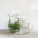 Casa Verde Ribbed Glass Jug - Large (17x18cm) - LemonSalt