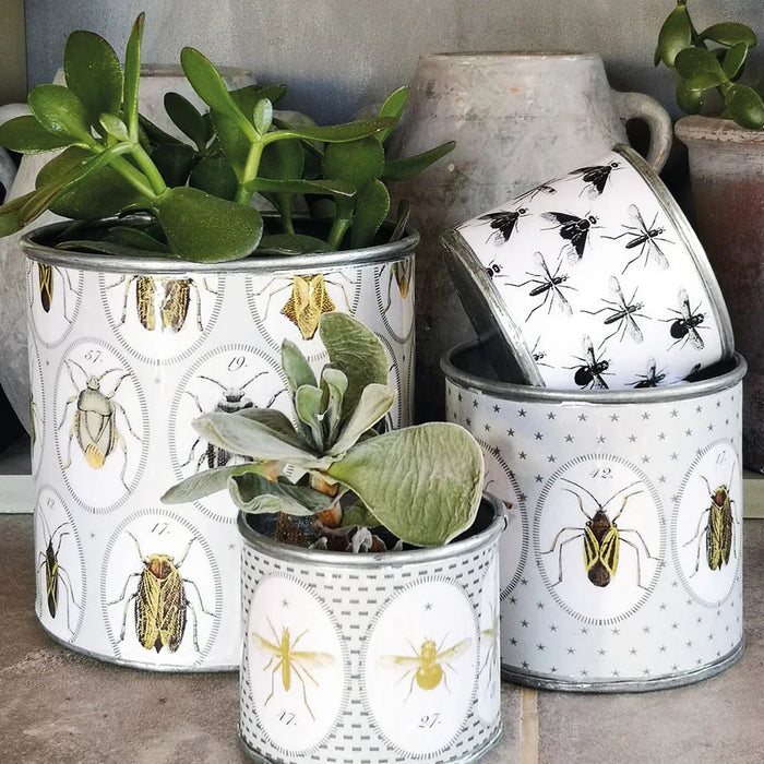 Casa Verde Tin Planter Bugtasia Taupe Set of 4 (15x15cm) - LemonSalt