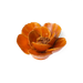 1537099ff855f4bda2f024154415830fce868327b96c0a14beb36fc7fdbd2281