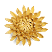 Chive - English Garden Canary Yellow Sarah Mum