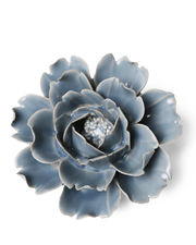 Chive - English Garden, Pastel Blue Rose