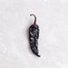 Cool Chile Chipotle Chillies Whole (40g) | {{ collection.title }}
