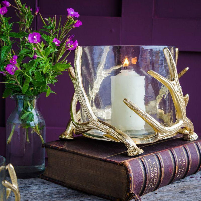 culinary-concepts-large-antler-hurricane-with-hammered-glass-gold-finish-lemonsalt-55794_9c076e2c-86bd-4cbe-b0f4-5f249ccce817