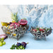 culinary-concepts-large-starfish-bowl-with-clear-glass-insert-lemonsalt-19530_c9563e49-33a2-4d08-89b9-955232807686