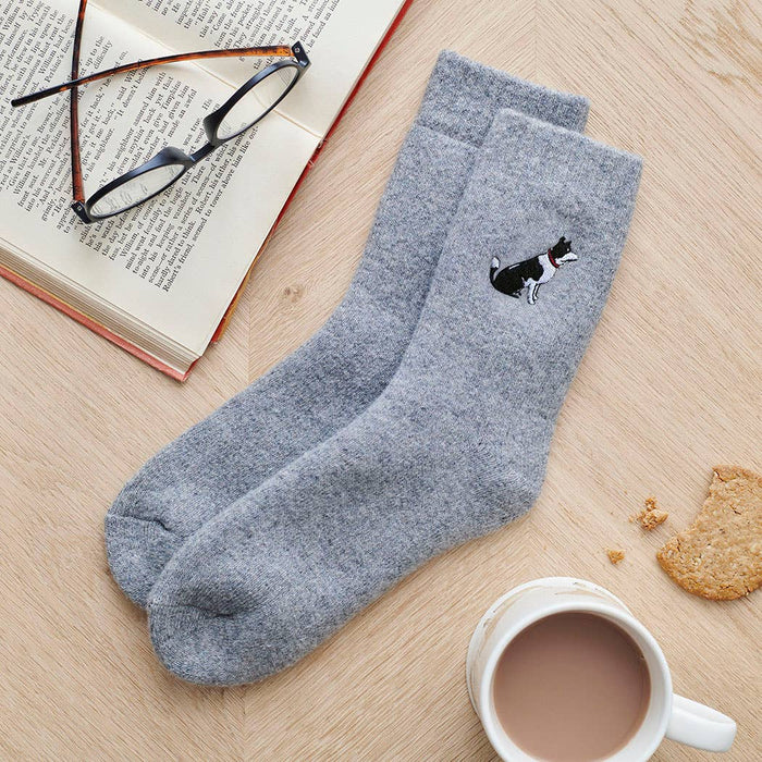 Sweet William Dog Walking Socks - Border Collie