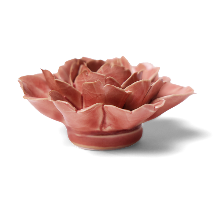 Chive English Garden Champagne Ceramic Pink Rose Flower