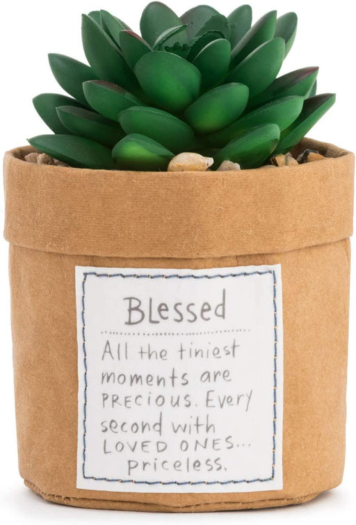 Demdaco - Plant Kindness Blessed"" | {{ collection.title }}