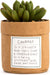 demdaco-plant-kindness-courage-lemonsalt-50463_b76ac4e2-7cbe-4a81-ac0b-f2eafbfb8d18