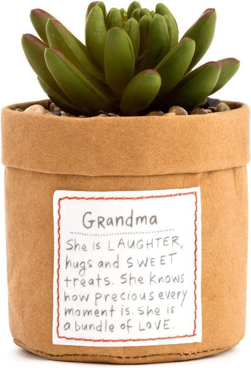Demdaco - Plant Kindness Grandma"" | {{ collection.title }}