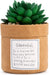 demdaco-plant-kindness-grateful-lemonsalt-11575_6768aa7c-1d20-4be4-8bf6-338055c1b237