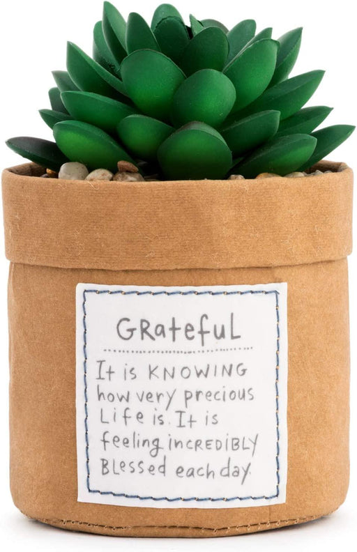 Demdaco - Plant Kindness Grateful"" | {{ collection.title }}