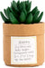 demdaco-plant-kindness-happy-lemonsalt-59486_94e768ee-dfa1-4902-a842-4debf2b5b03d