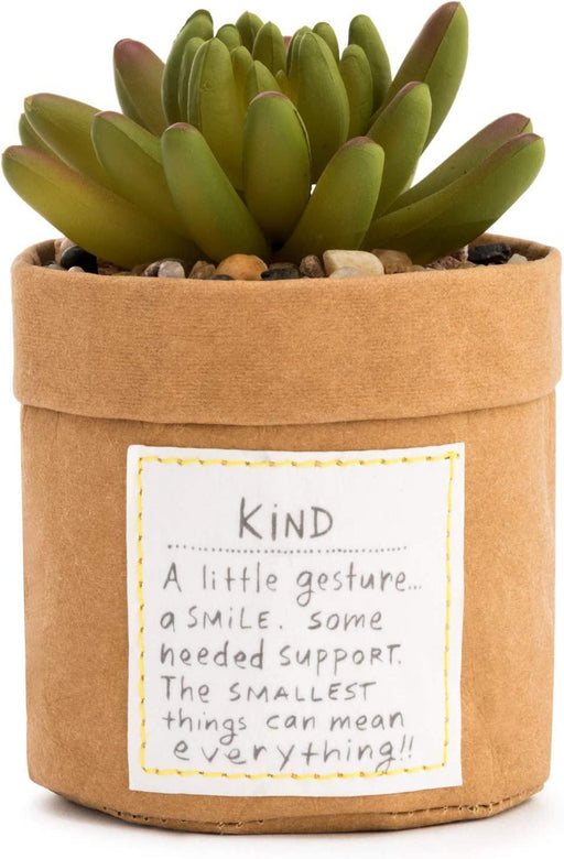 Demdaco - Plant Kindness Kind"" | {{ collection.title }}