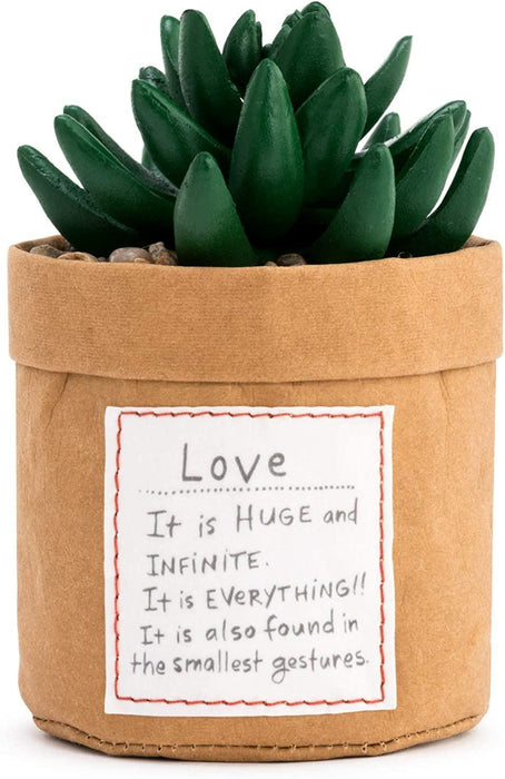 Demdaco - Plant Kindness Love",Demdaco,Home & Garden"