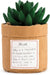 Demdaco - Plant Kindness Mum"" | {{ collection.title }}