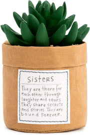 Demdaco - Plant Kindness Sisters