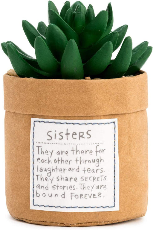 Demdaco - Plant Kindness Sisters"" | {{ collection.title }}