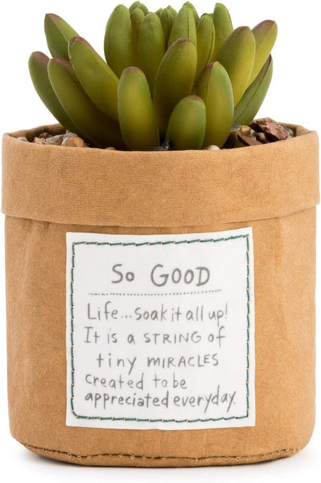 Demdaco - Plant Kindness So Good