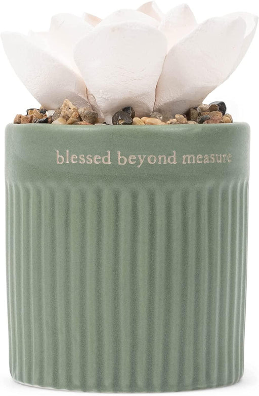 Demdaco - Succulent Diffuser Blessed"" | {{ collection.title }}