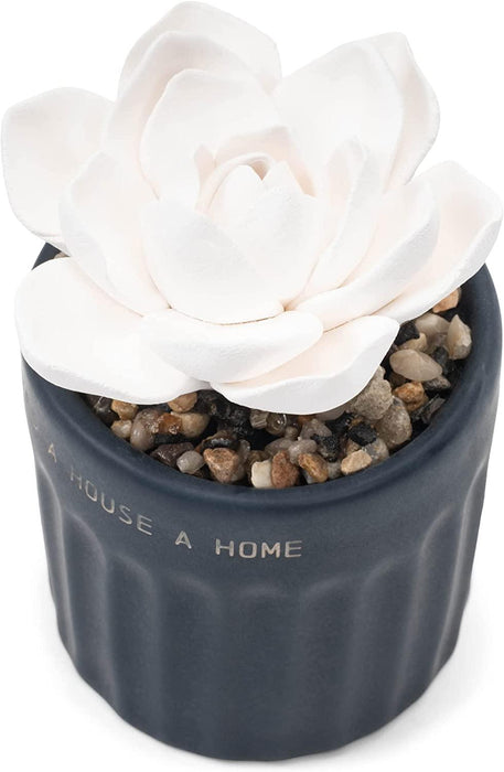 Demdaco - Succulent Diffuser Home"" | {{ collection.title }}