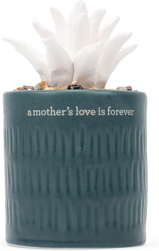 Demdaco - Succulent Diffuser Mother Love"" | {{ collection.title }}