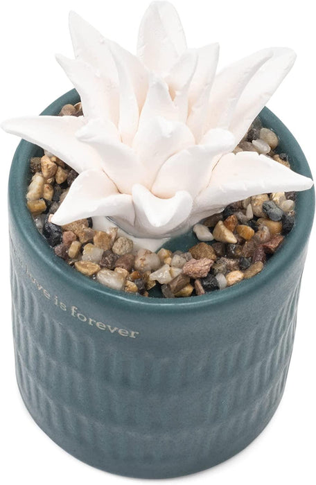 Demdaco - Succulent Diffuser Mother Love"" | {{ collection.title }}