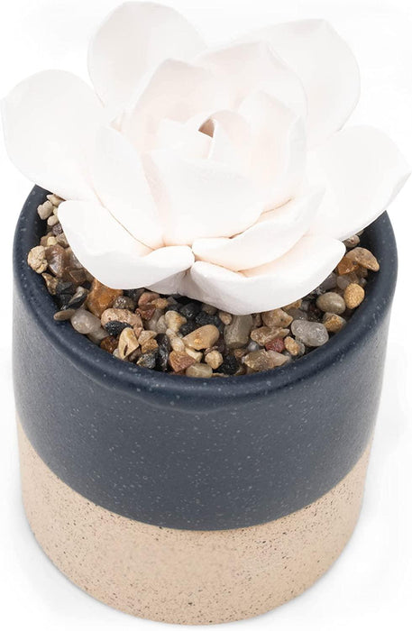 Demdaco - Succulent Diffuser - Navy | {{ collection.title }}