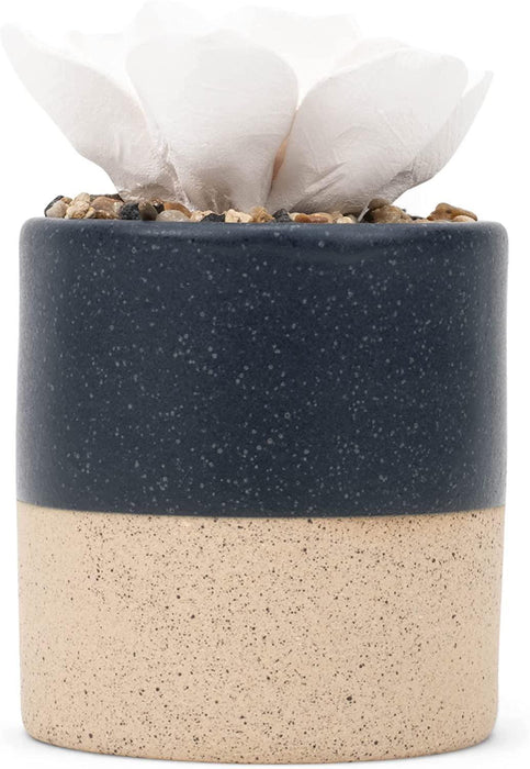 Demdaco - Succulent Diffuser - Navy