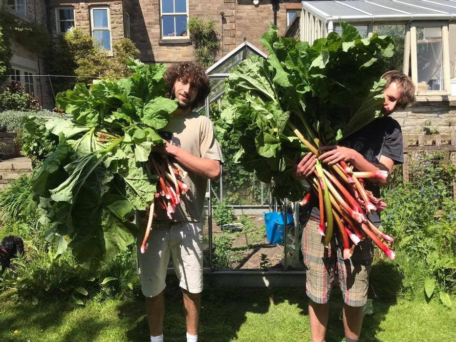 Fruits of the Forage - Rhubarb Chilli Jam (210g)