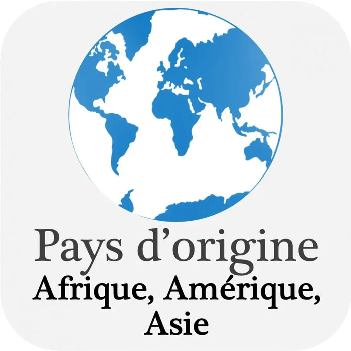 Henri Elsass Café Prima 100% Arabica Coffee Beans (1kg)