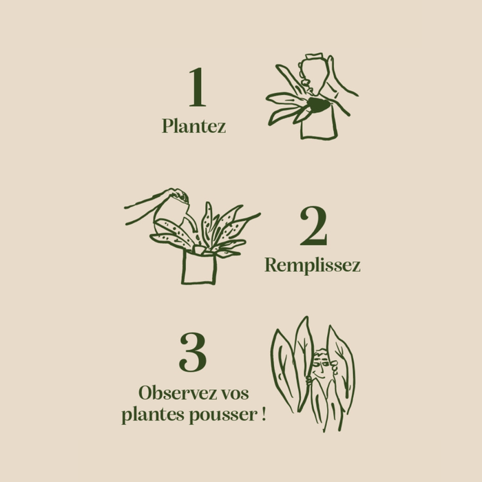 Pepin Olla - Mustard yellow