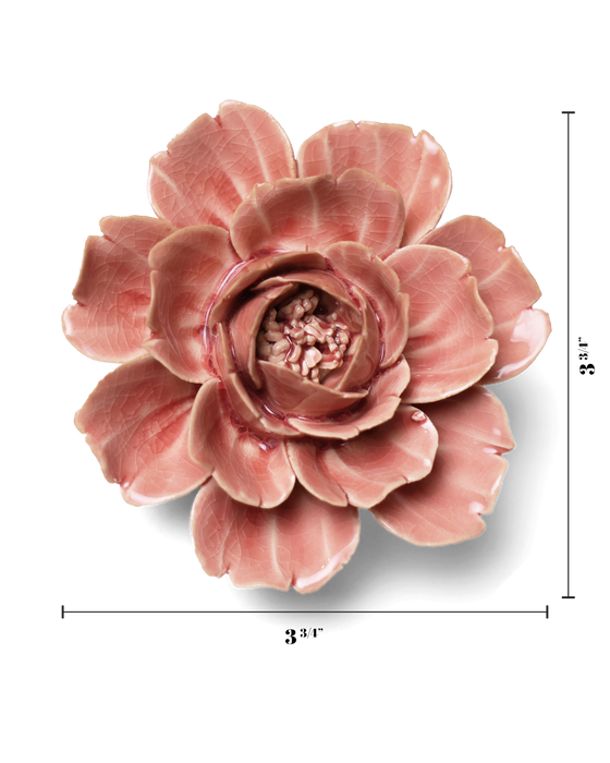 Chive English Garden Champagne Ceramic Pink Rose Flower