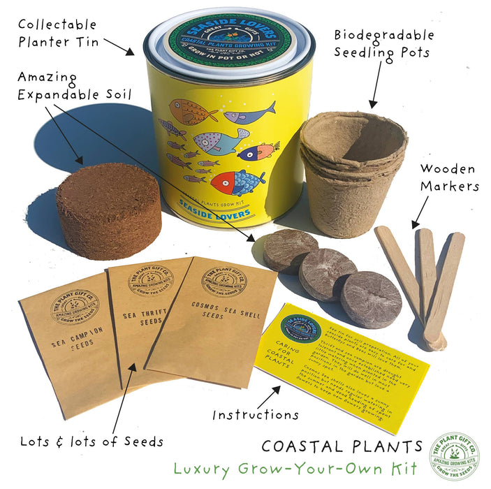 The Plant Gift Co. Seaside Lovers Eco Grow Your Own Plant Kit