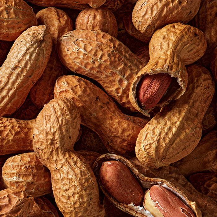 Fatso Nan's Stash - 70% Dark Chocolate Chunky Bar (150g) - LemonSalt