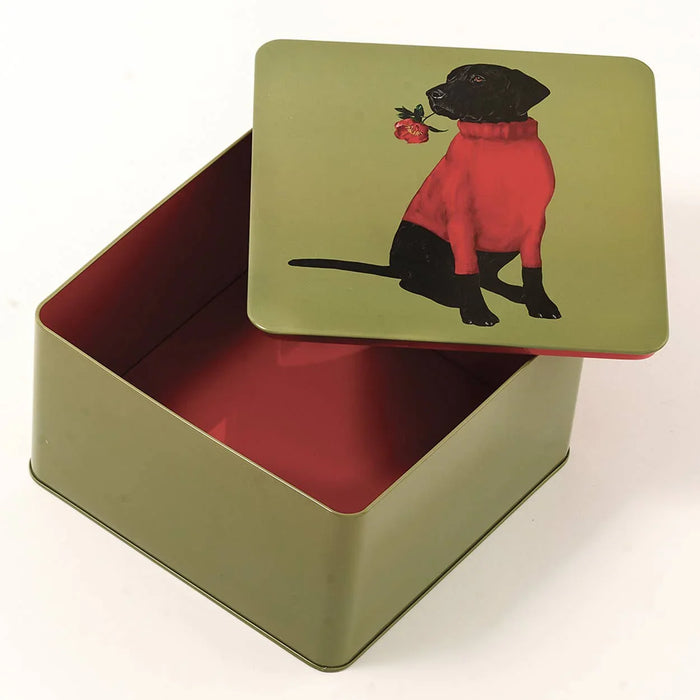 Gangzai Design Square Metal box Boite Carree Toox