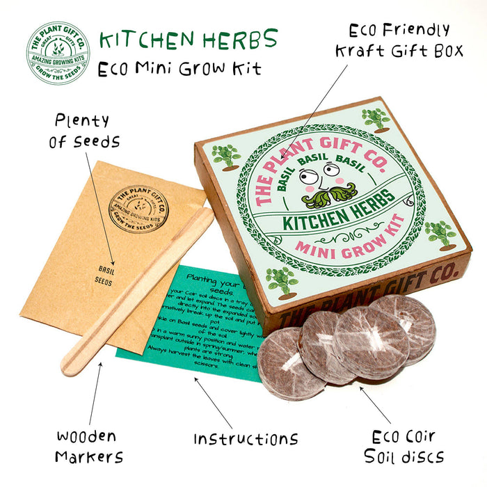 The Plant Gift Co. Kitchen Herb Eco Mini Basil Grow Kit