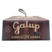 galup-colomba-with-chocolate-drops-and-hazelnut-frosting-750g-lemonsalt-61566_19e194ce-5e04-419a-aa7d-417ec0306d8a