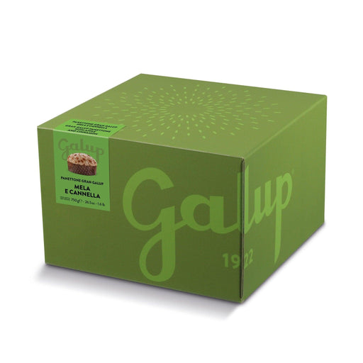 Galup Panettone with Apple & Cinnamon (750g) | {{ collection.title }}